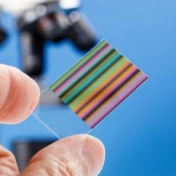 Micronutrient Testing