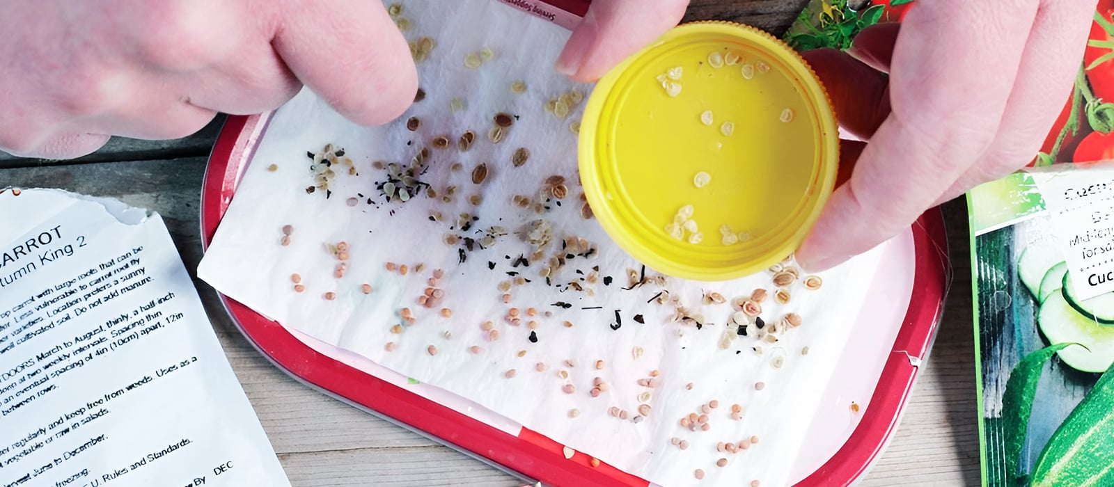 Seed Viability Testing