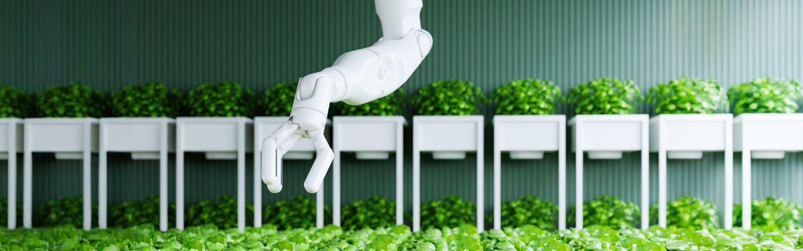 Challenges Of AI In Agriculture