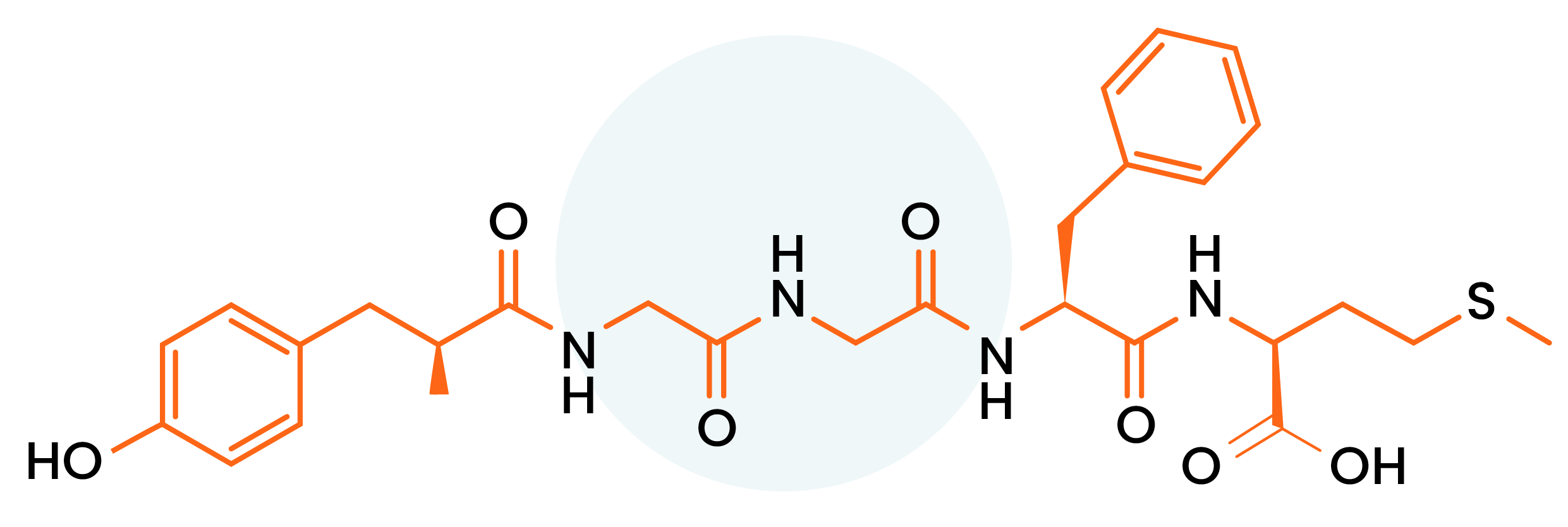 Testing Water Samples