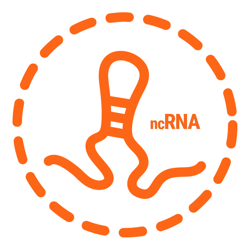 RNA Icon