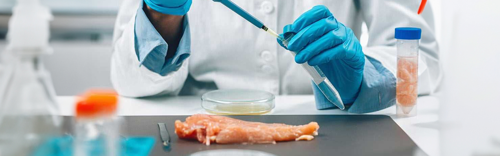 Polymerase Chain Reaction, PCR