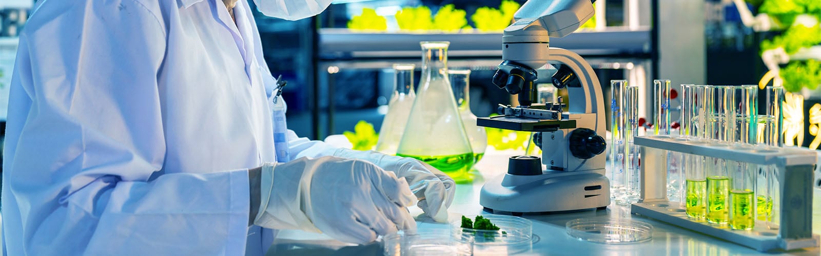 Create Sustainable Research Practices and Experiments