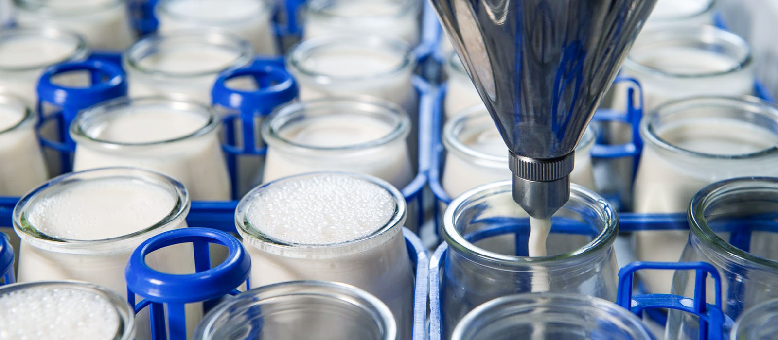 Yogurt Processing