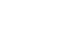 VISA Logo