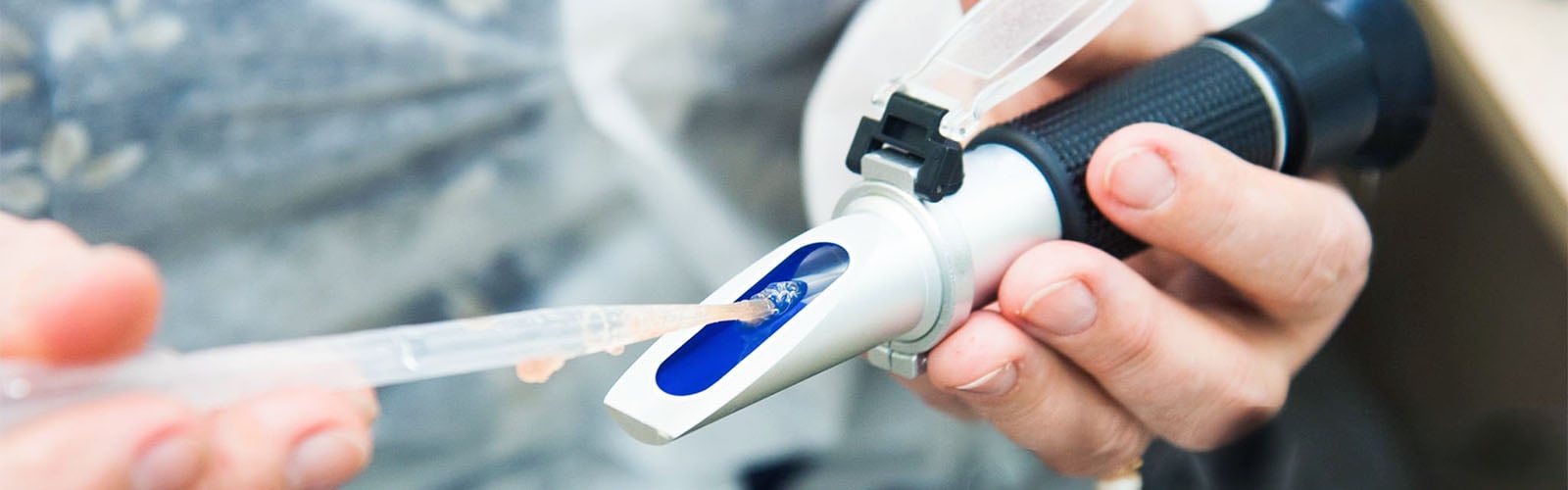 Brix Refractometer in Use