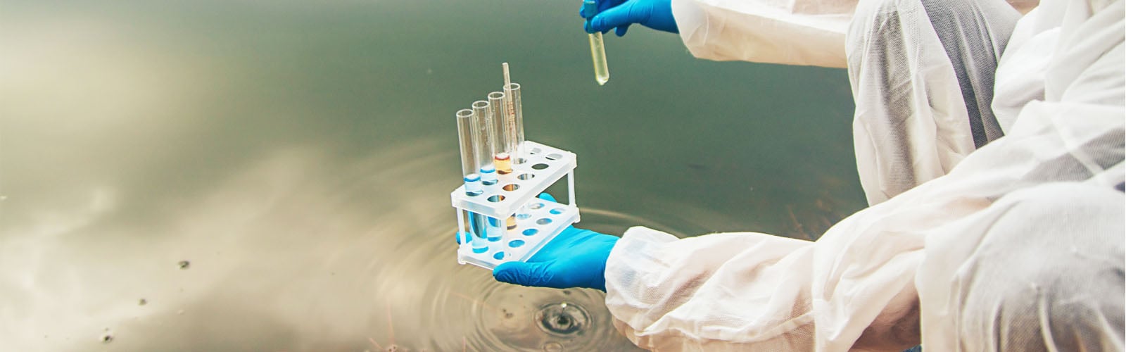 Water Samples