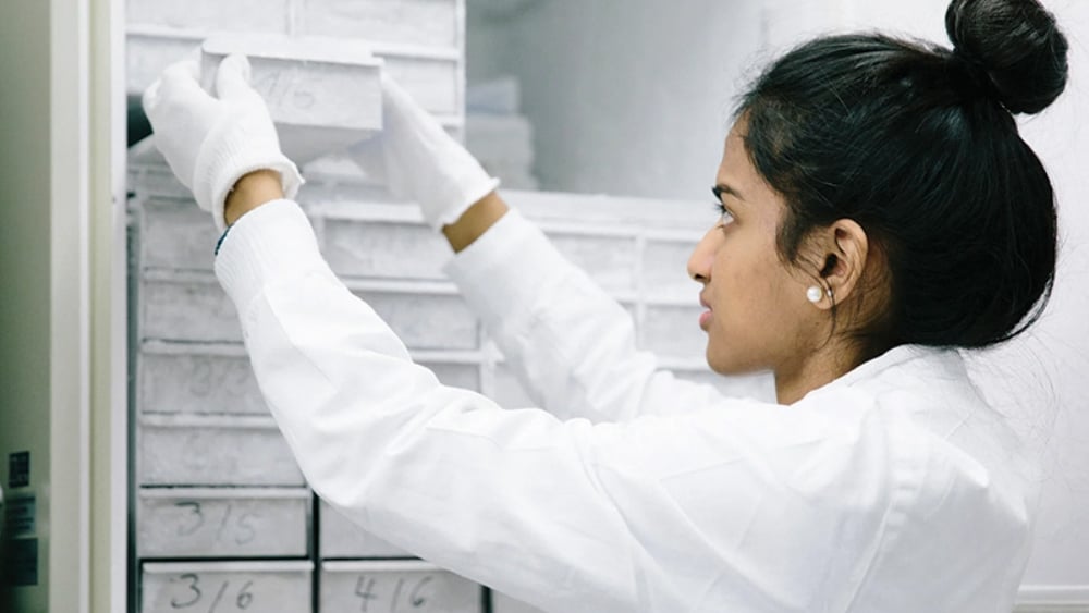 Choosing The Correct Cold Storage For Your Vaccines And Specimens