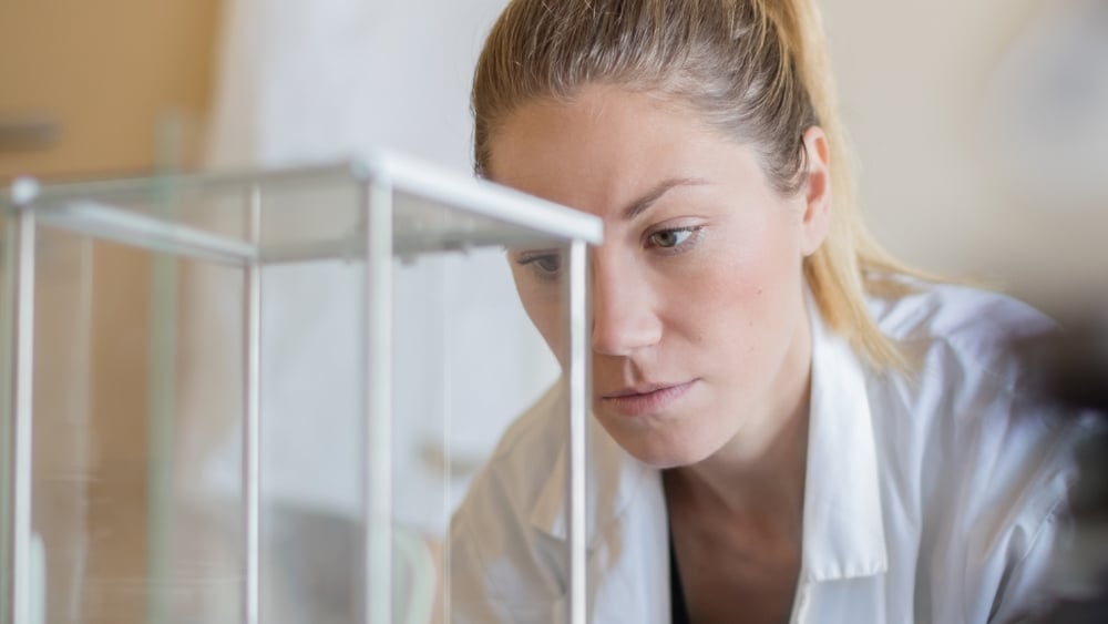 Multipurpose Counting Scales: How do they work?