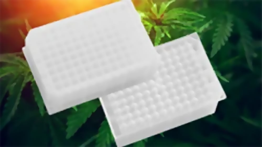 What To Consider When Purchasing VOA Vials