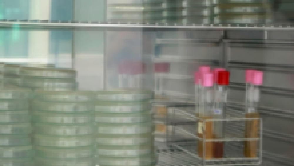 Incubator Selection Tailored To Lab Requirements